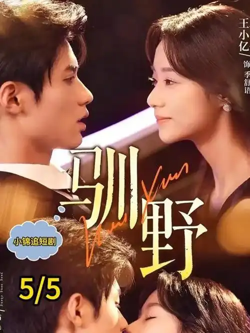 长夜将尽 悬疑剧集
